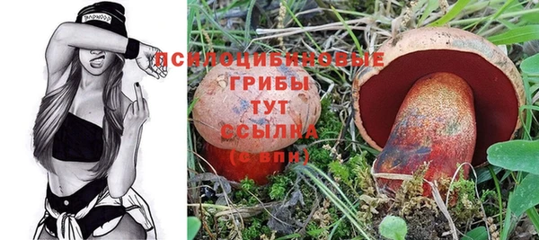 спиды Беломорск
