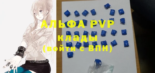 прущие грибы Белоозёрский