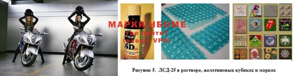 стафф Белокуриха