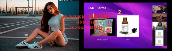 прущие грибы Белоозёрский