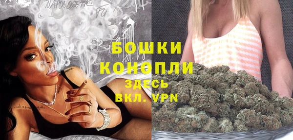 прущие грибы Белоозёрский