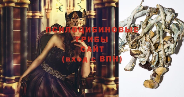 стафф Белокуриха