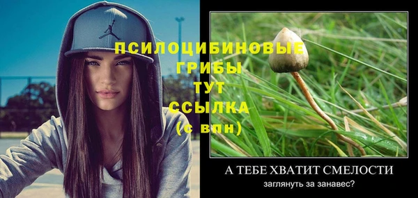 спиды Беломорск