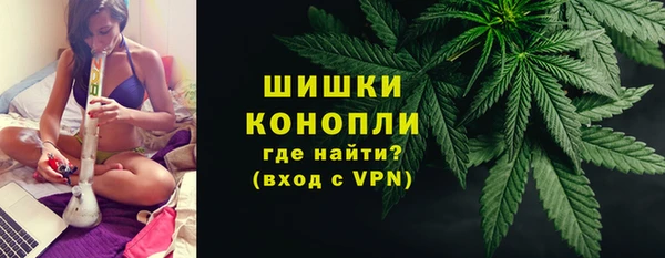прущие грибы Белоозёрский