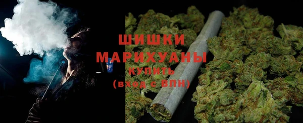 прущие грибы Белоозёрский