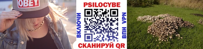 где найти наркотики  Махачкала  Псилоцибиновые грибы Psilocybe 